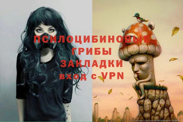 скорость Вяземский